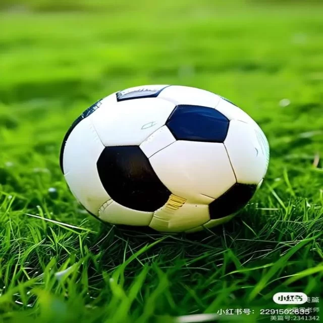 汤尤杯抽签公布中国队迎挑战
